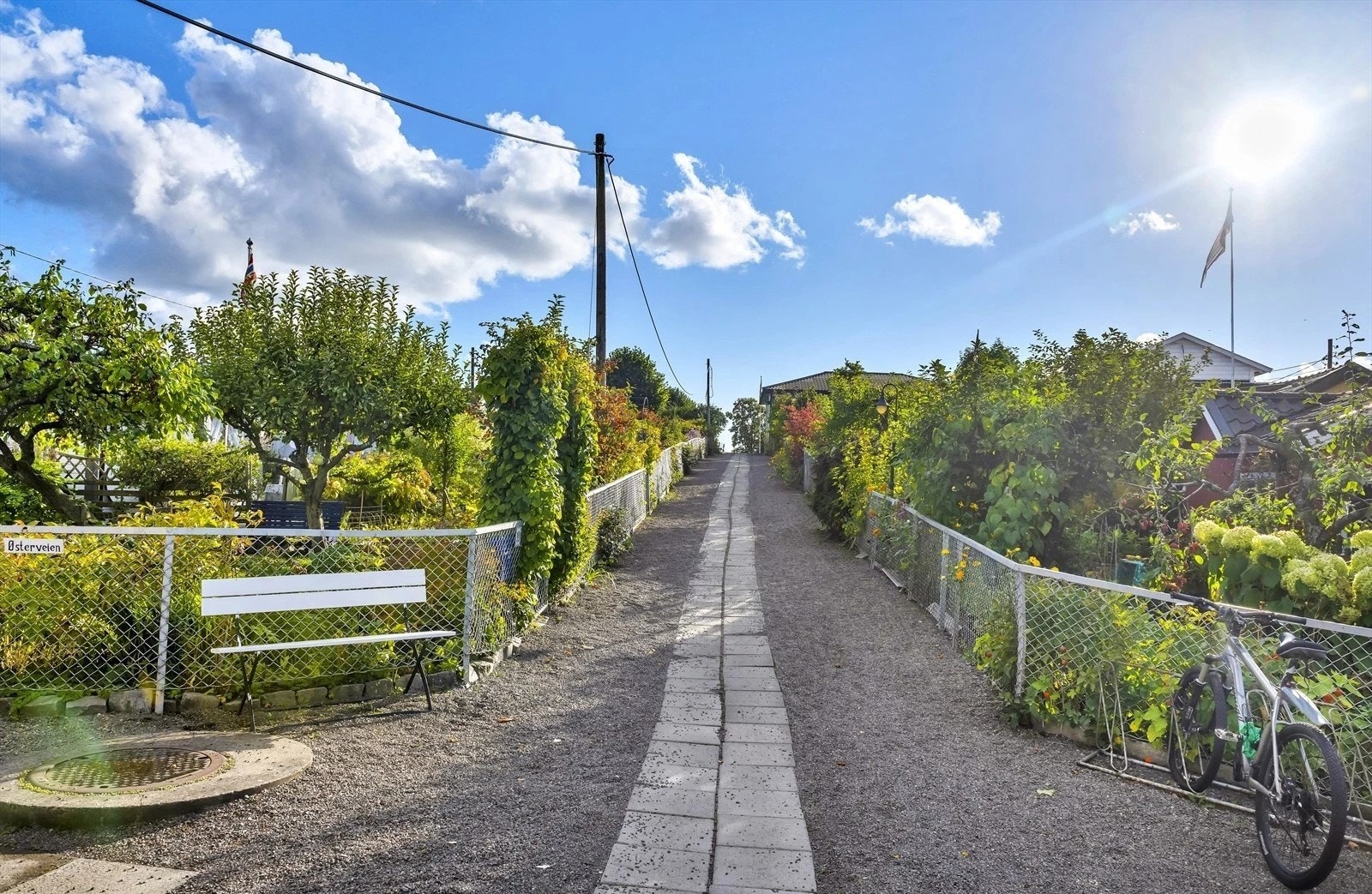 Ikoniske Rodeløkkens Kolonihager som tilbyr et grønt pusterom med små hytter og frodige hager. Galleribilde