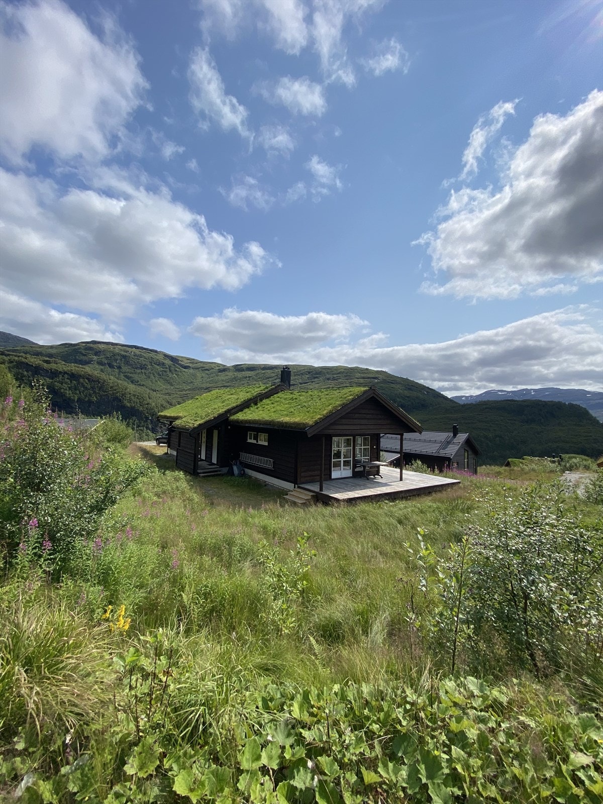 Stor og flott hytte - God parkeringplass på egen tomt til flere biler Galleribilde