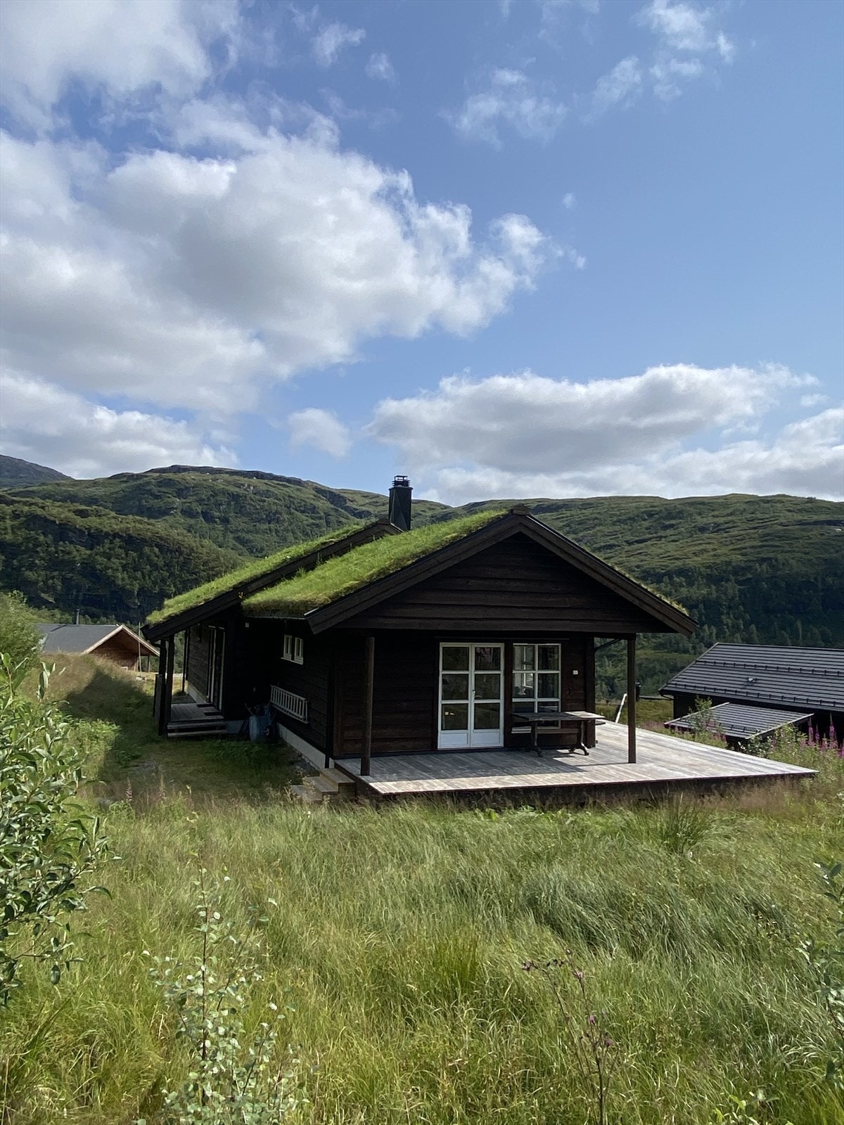 Perfekt beliggenhet i Eikedalen Panorama med ski in/ski out til Eikedalen skisenter og i fine grønne omgivelser om sommeren. Galleribilde