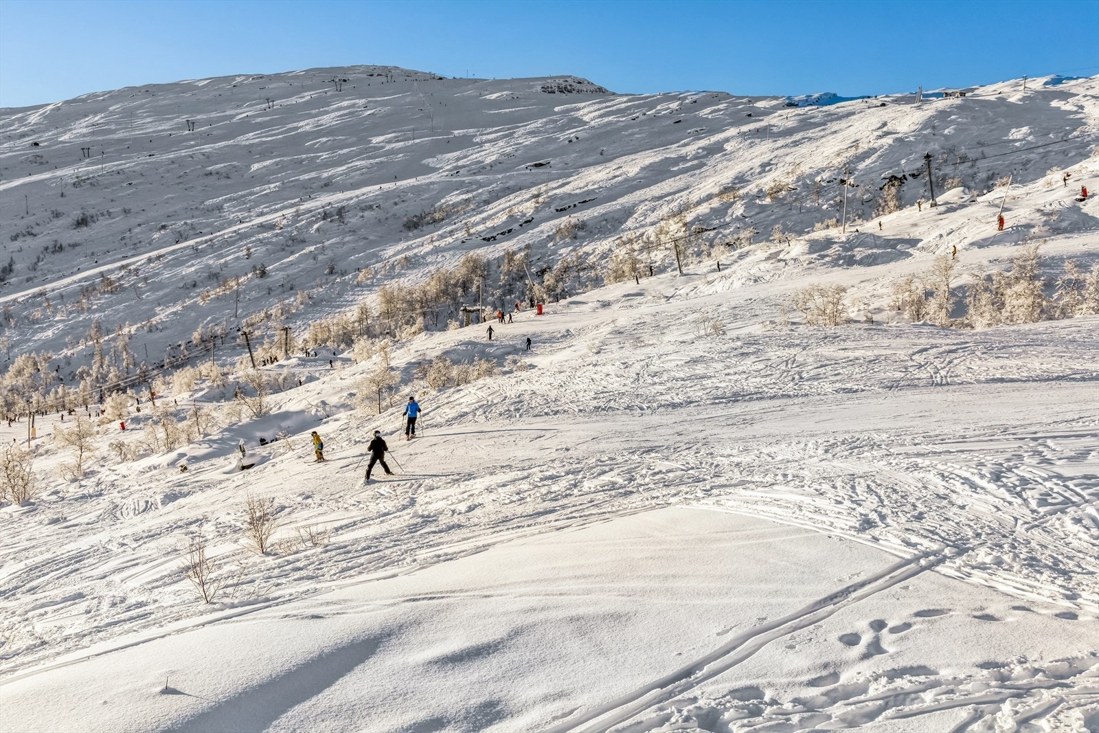 Eikedalen har løyper for alle og enhver rett utenfor døren! Galleribilde