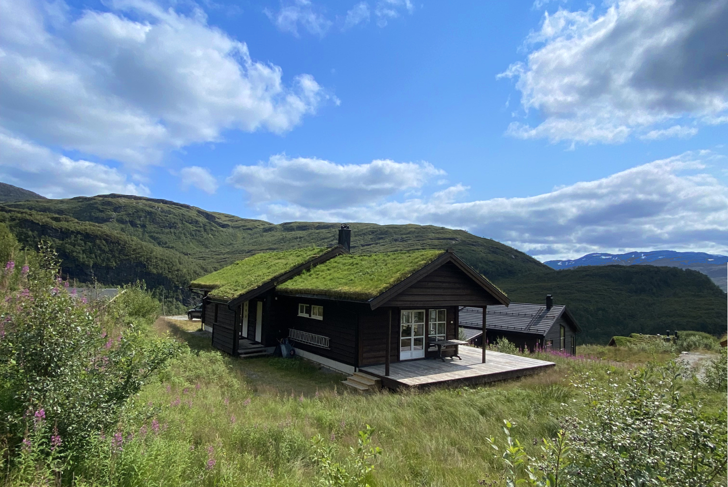 Velkommen til visning! Galleribilde