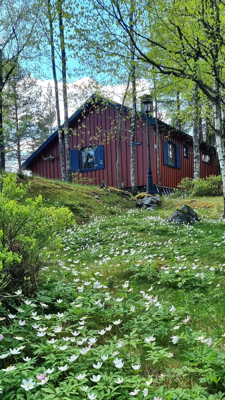 Fra hytta er det ca. 13 km til Seljord sentrum med blant annet matbutikker og bensinstasjon. Det er ca. 17 km til Bø sentrum med et rikt utvalg av fasiliteter og servicetilbud - for ikke å glemme Sommarland, Norges eneste utendørs vannaktivitetspark. Galleribilde