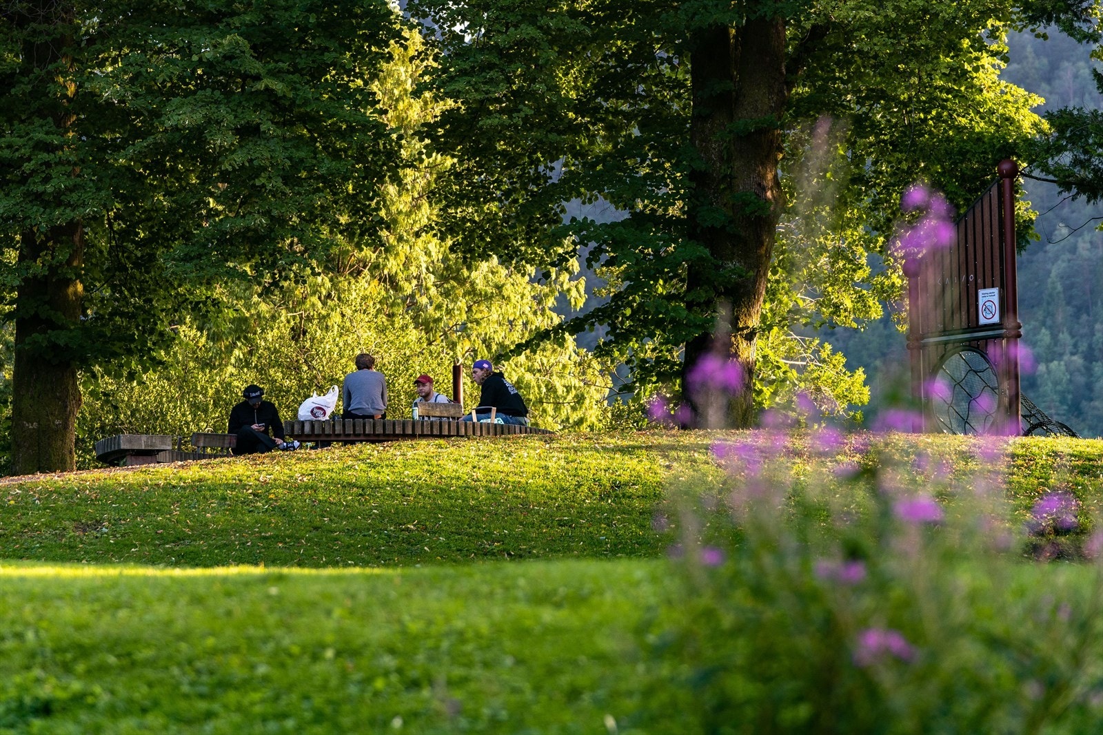 - Ta med piknikkurven til den populære Nygårdsparken på varme sommerdager - Galleribilde