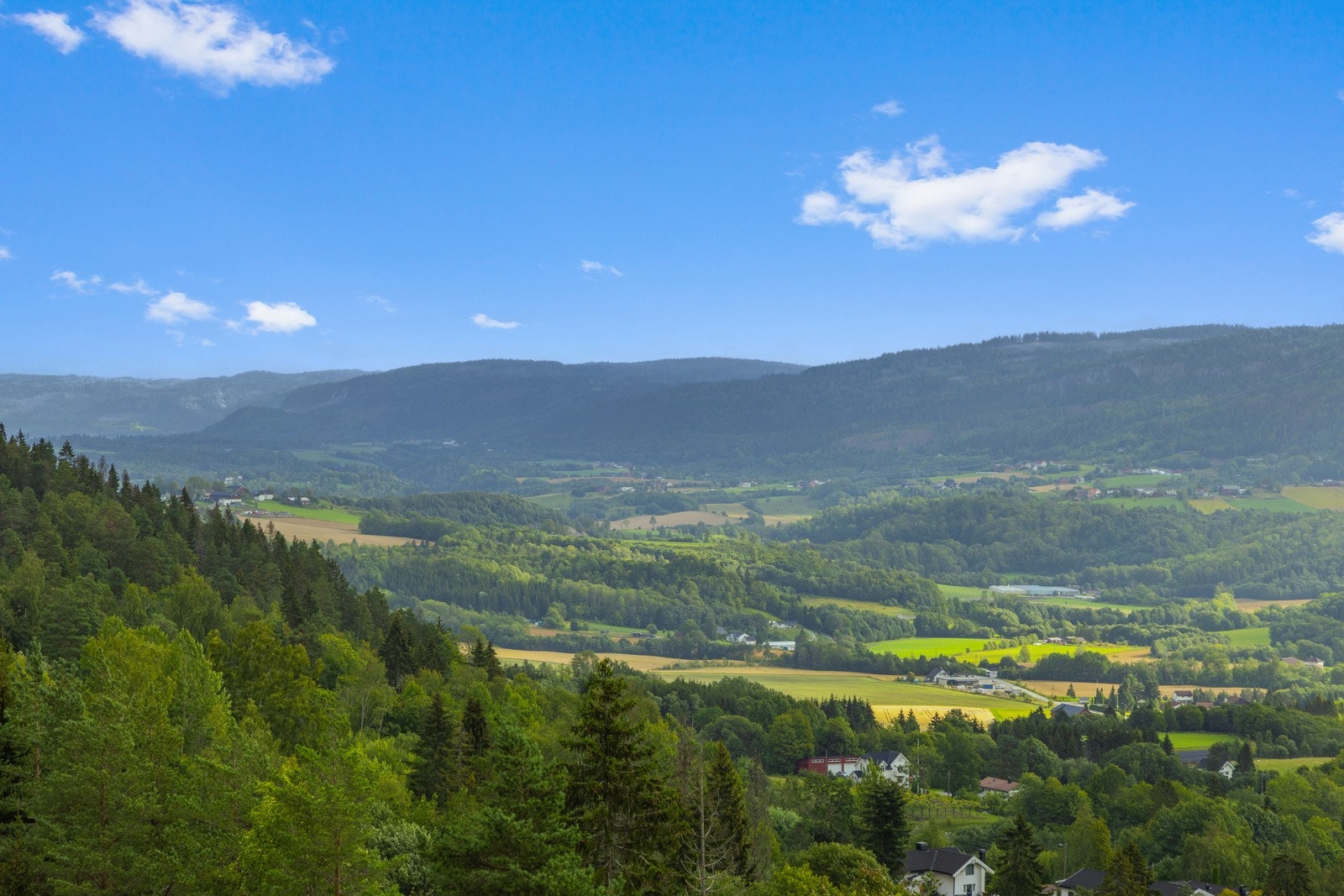 Utsiktsbilde. Galleribilde