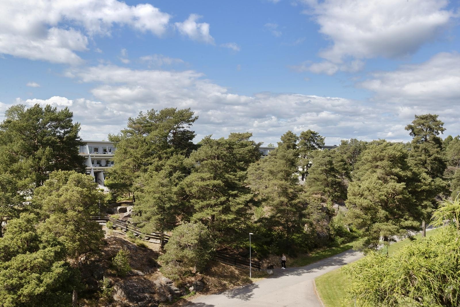 Utsikt Galleribilde