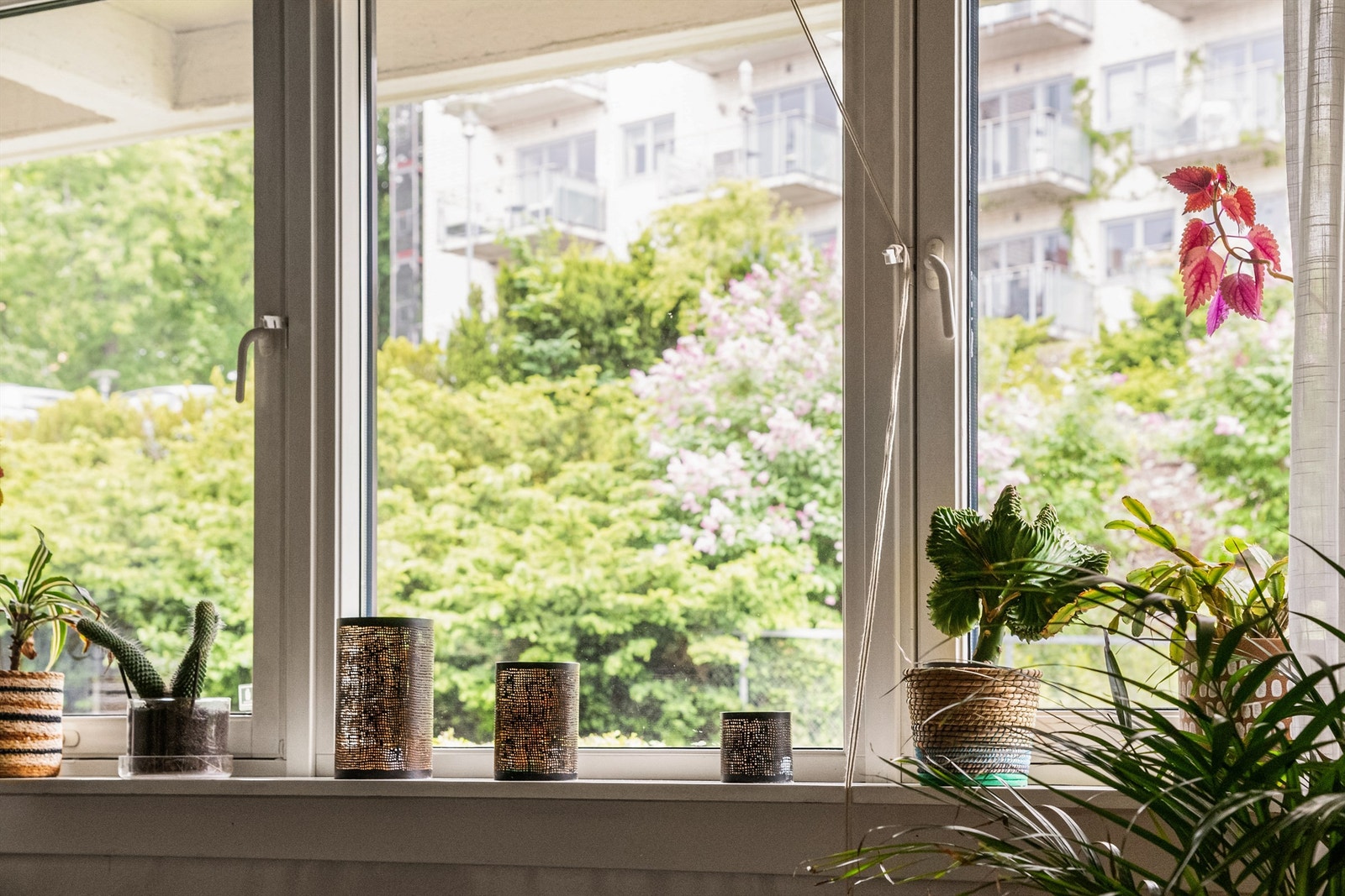 Vossegata er en rolig og frodig gata sentralt på Torshov. Galleribilde