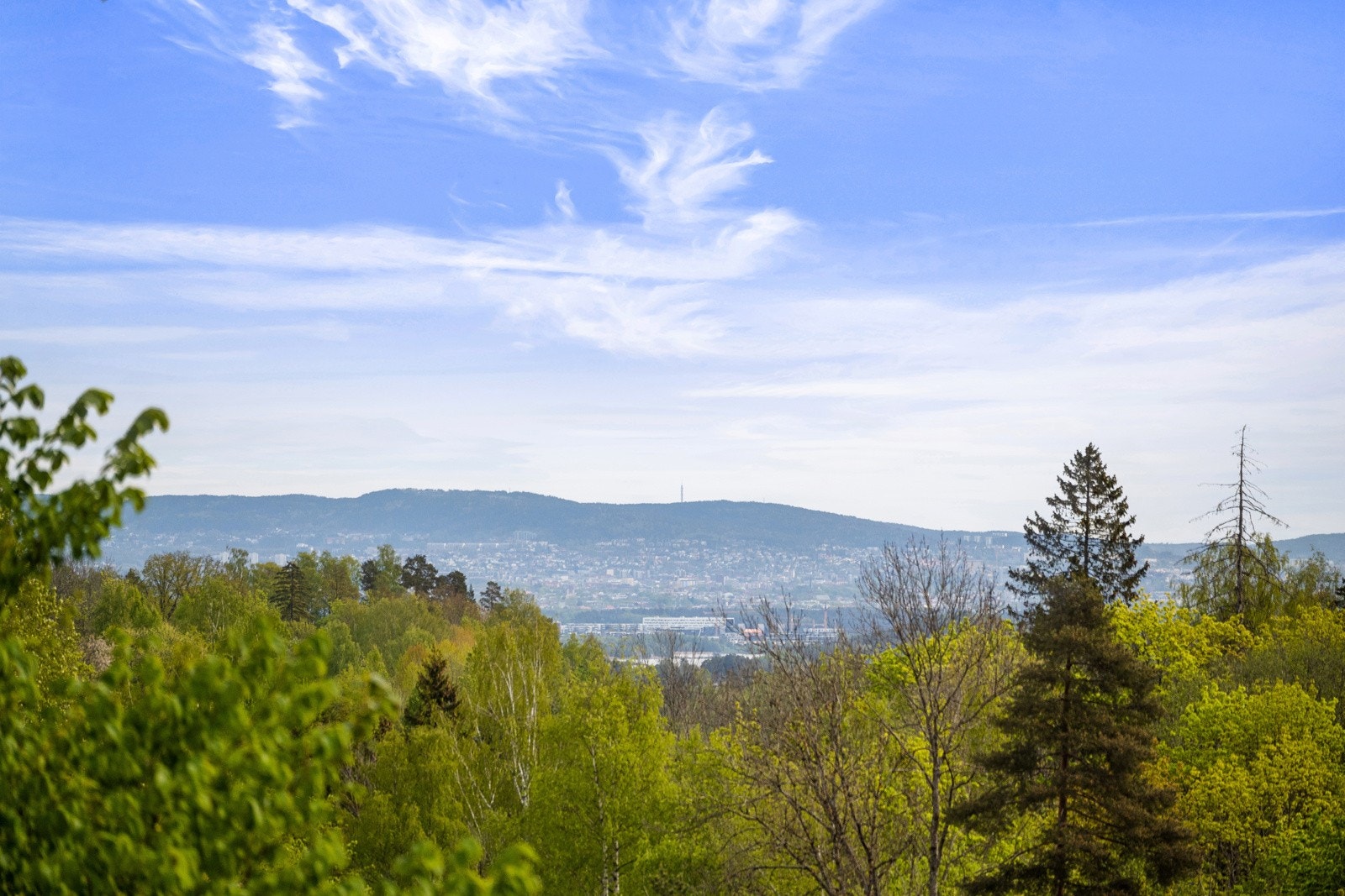 Utsikt fra terrassen. Galleribilde