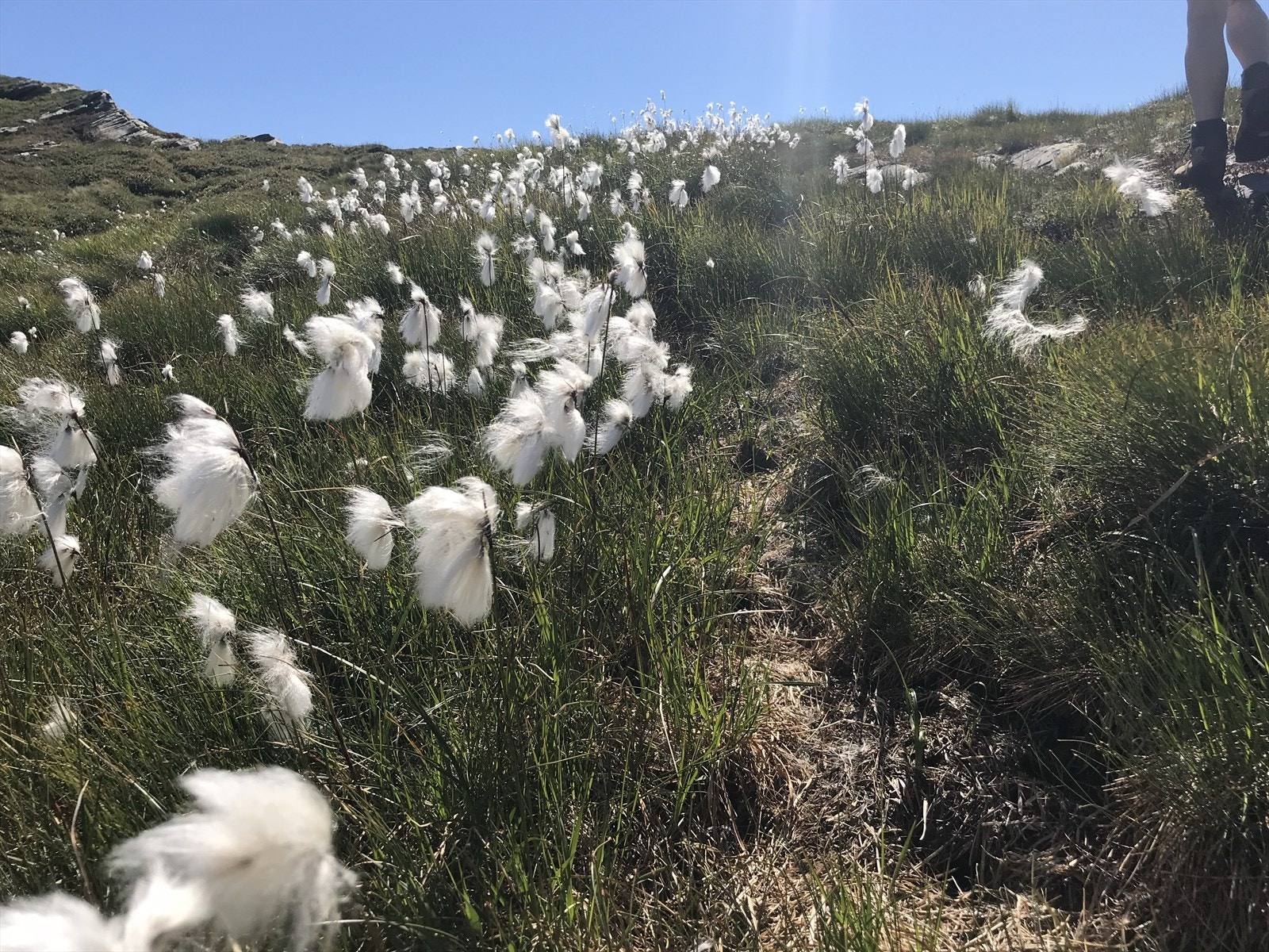 Med ca. 1 time kjøring fra Bergen, har du en hytte det er enkelt å bruke på selv korte helger - eller pendle til jobb. Galleribilde