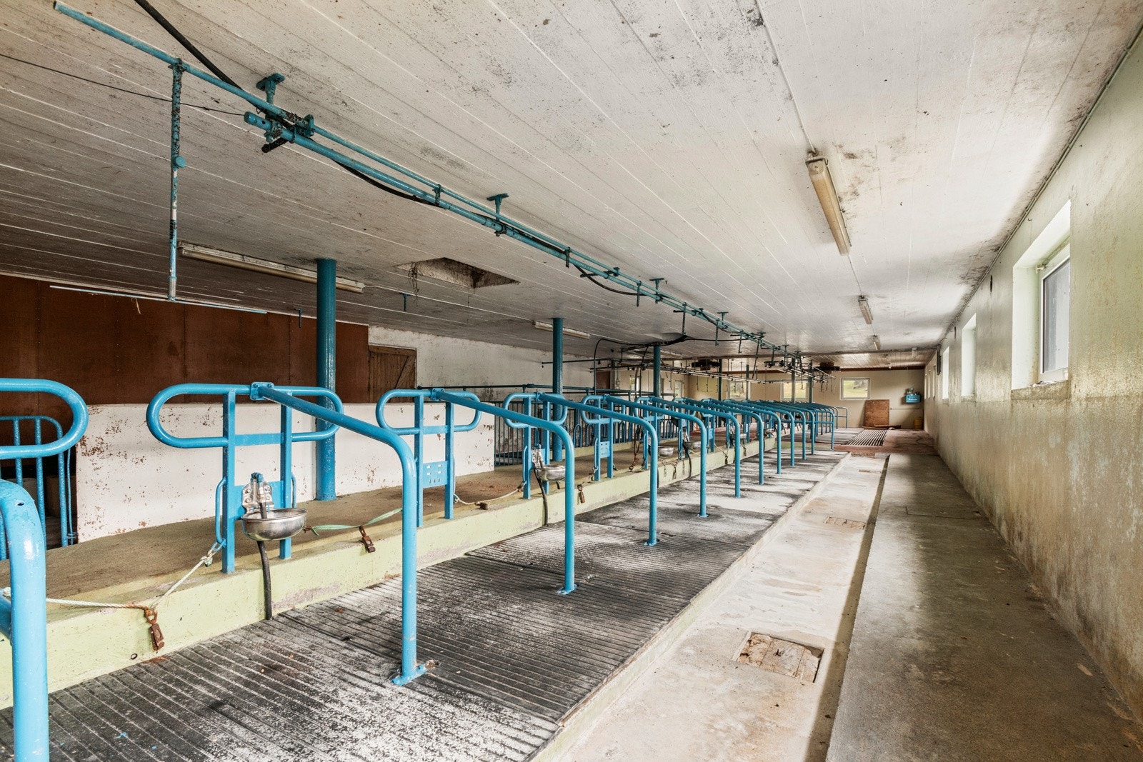 Båsfjøset bilde 2 Galleribilde