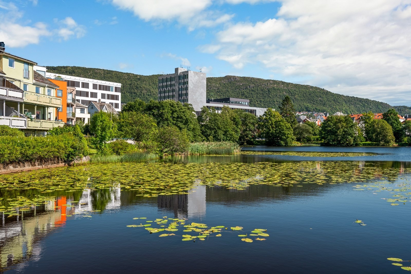 Det er flere fine turmuligheter i området Galleribilde