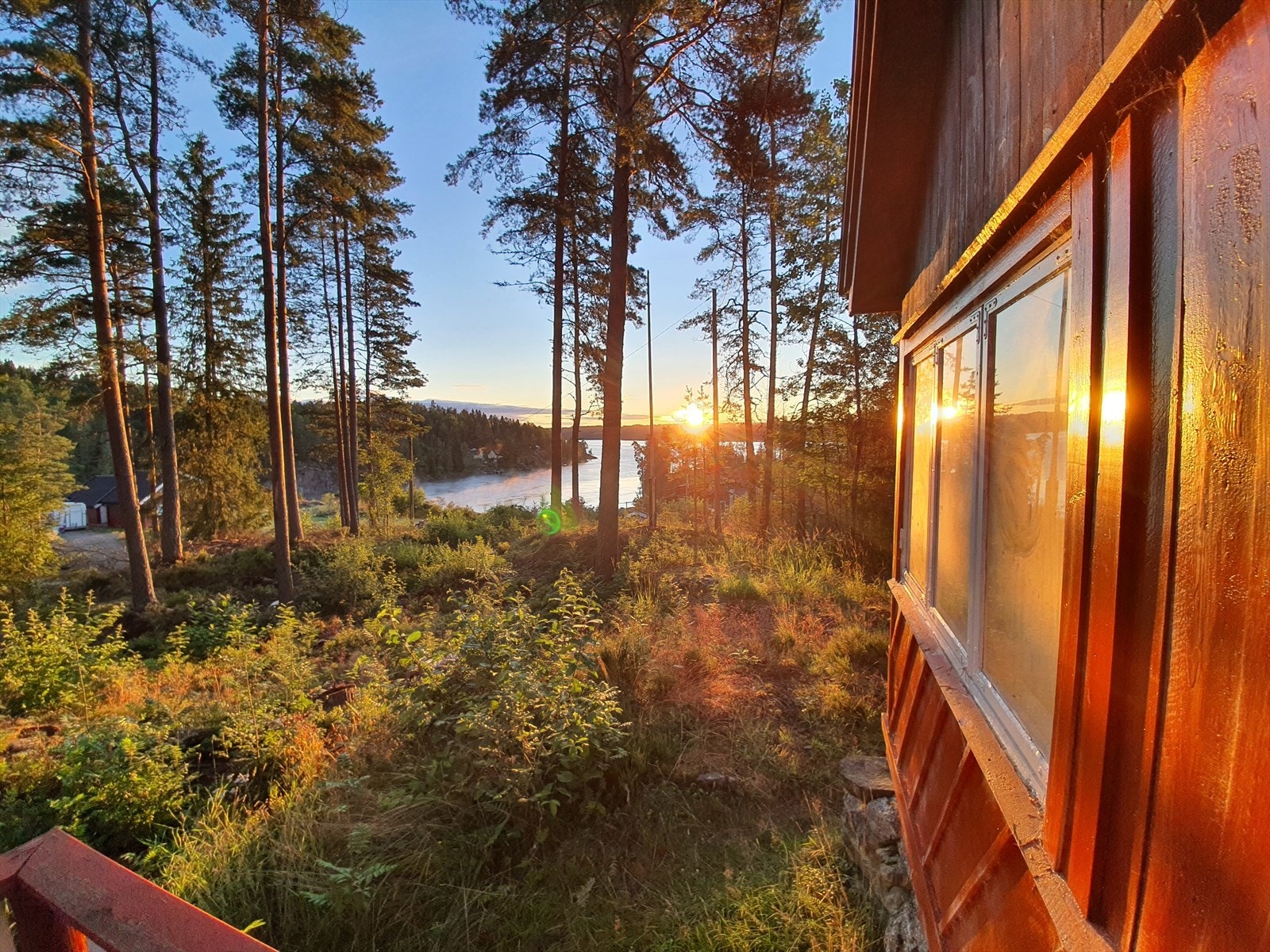 Selgers eget bilde Galleribilde
