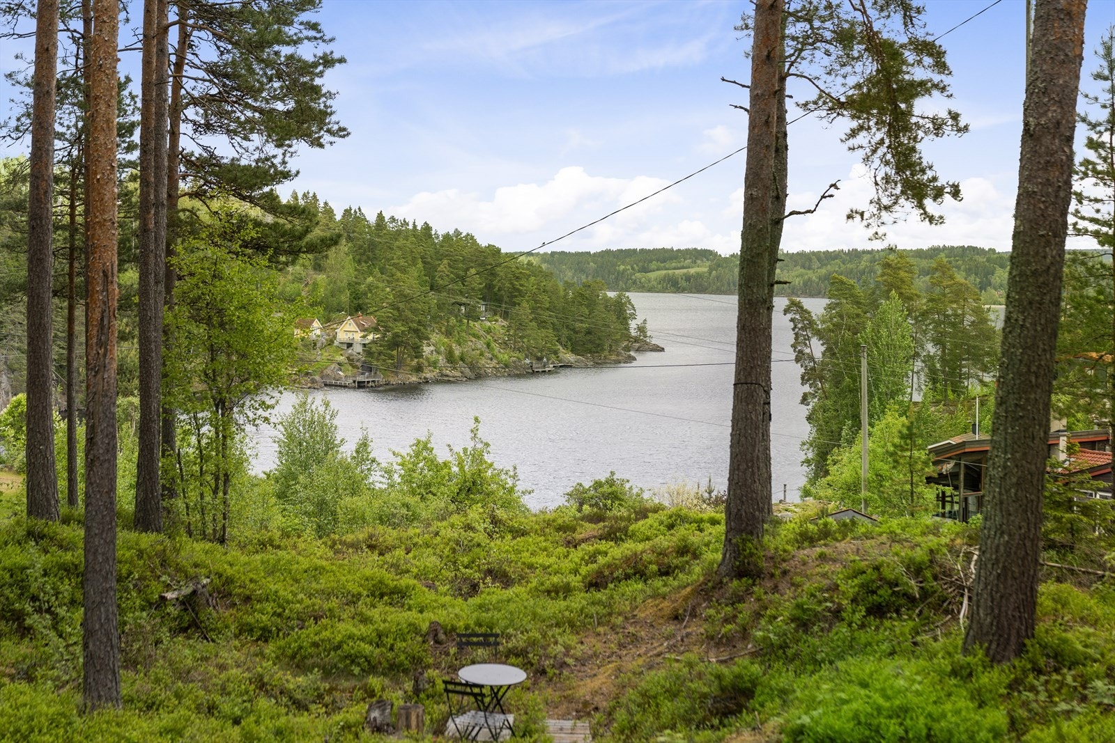 Utsikt Galleribilde