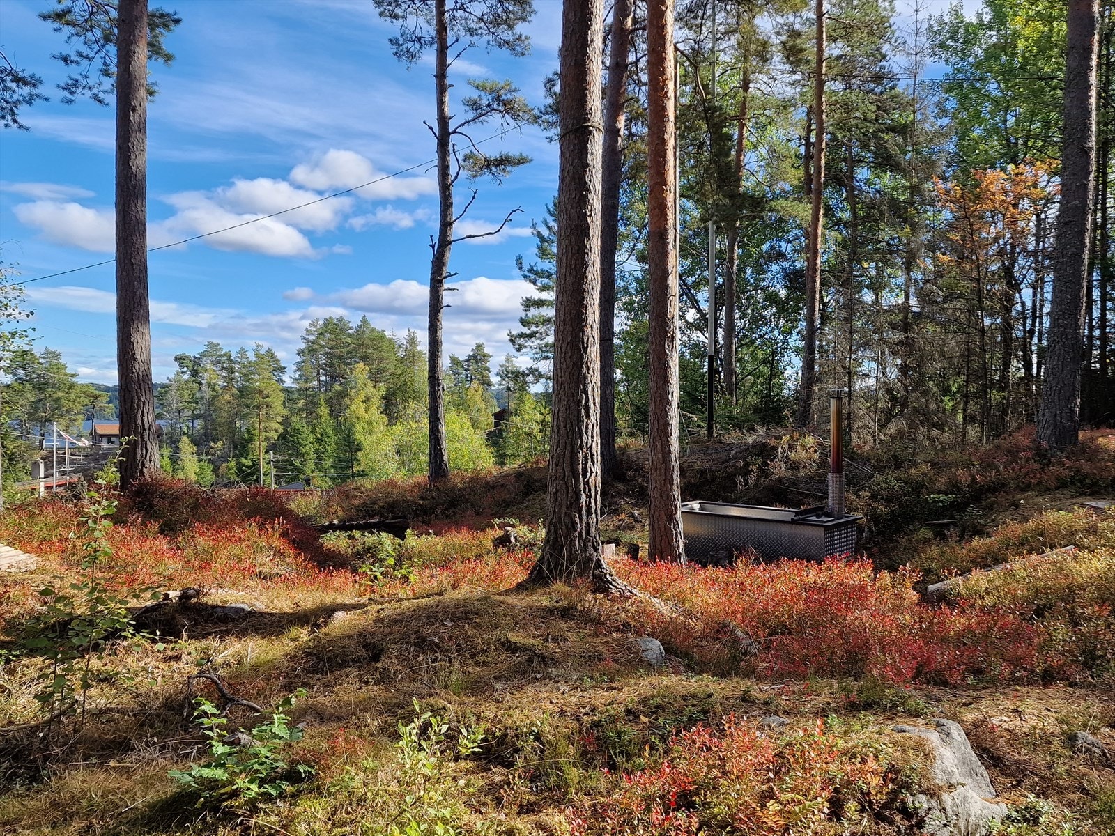 Selgers eget bilde (badestamp følger ikke med, og er allerede borte fra tomten) Galleribilde