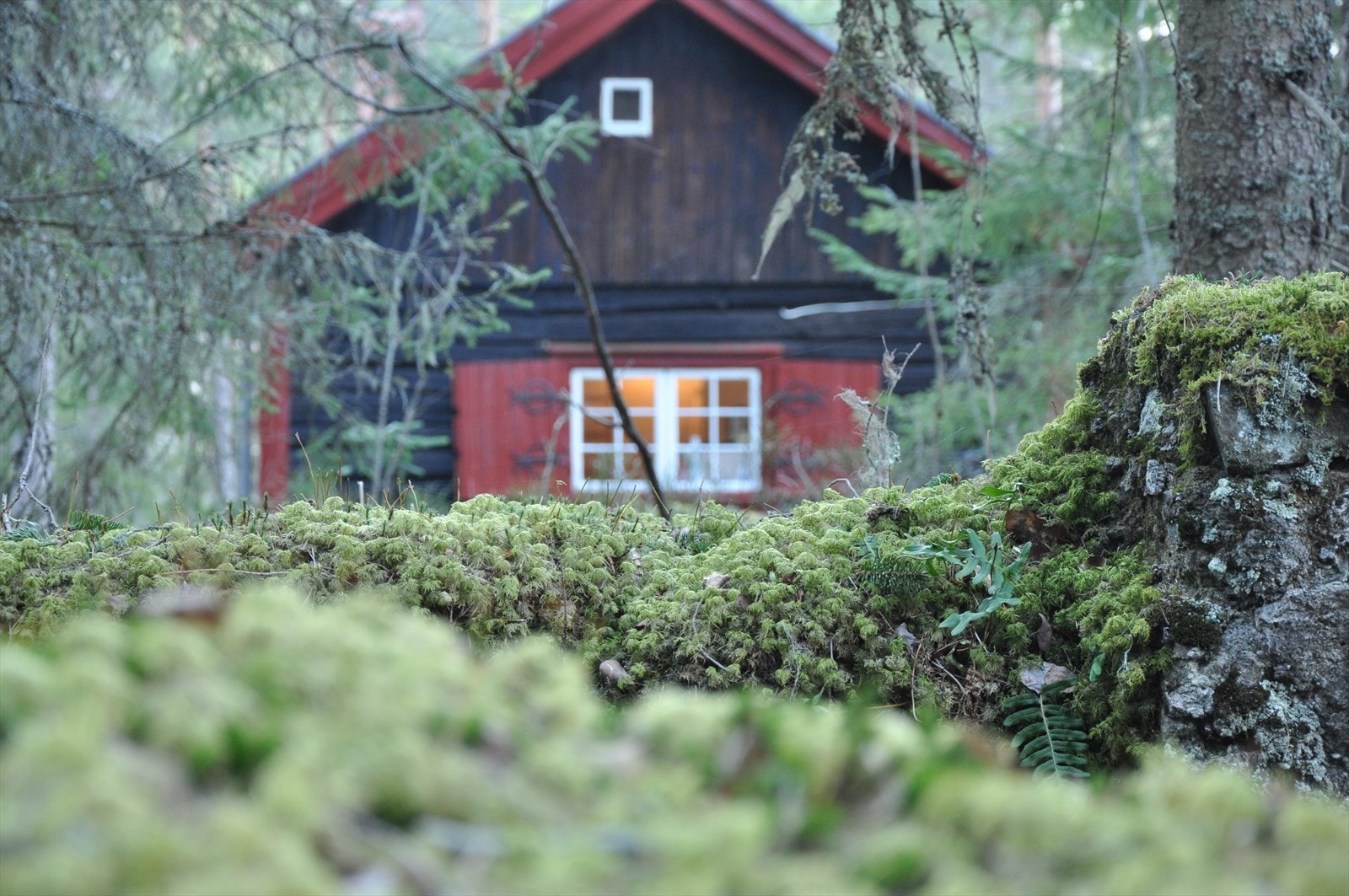 Selgers eget bilde, stemningsbilde Galleribilde