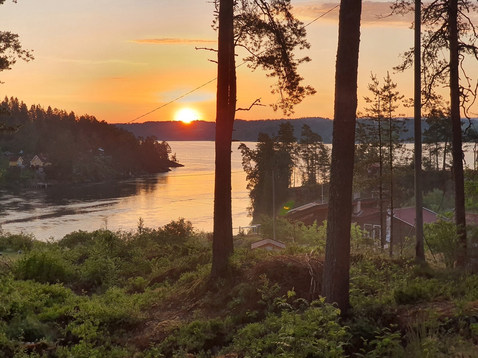 Selgers eget bilde Galleribilde