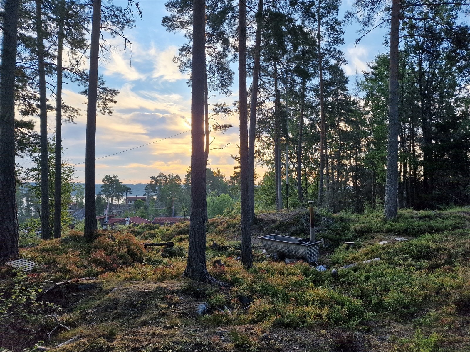 Selgers eget bilde (badestamp følger ikke med, og er allerede borte fra tomten) Galleribilde