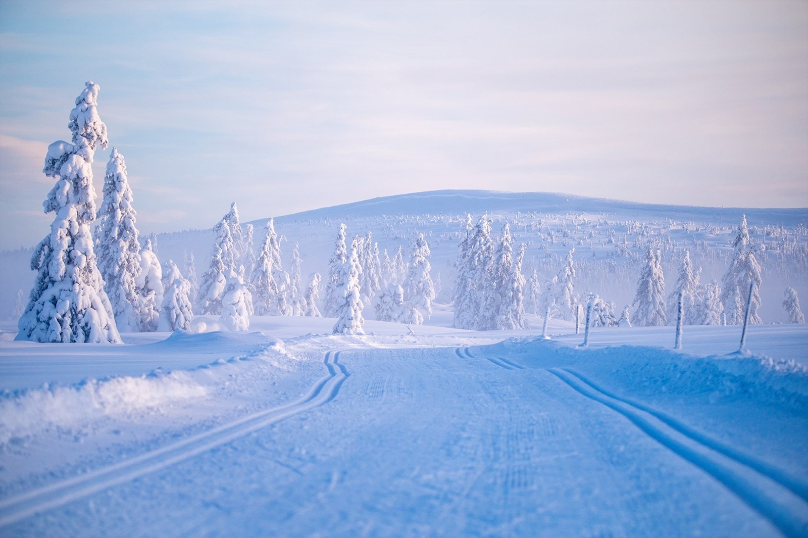 Sjusjøen er aller mest kjent for sine fantastiske skiløyper. Her et bilde fra løypene ved fjellelva. Galleribilde