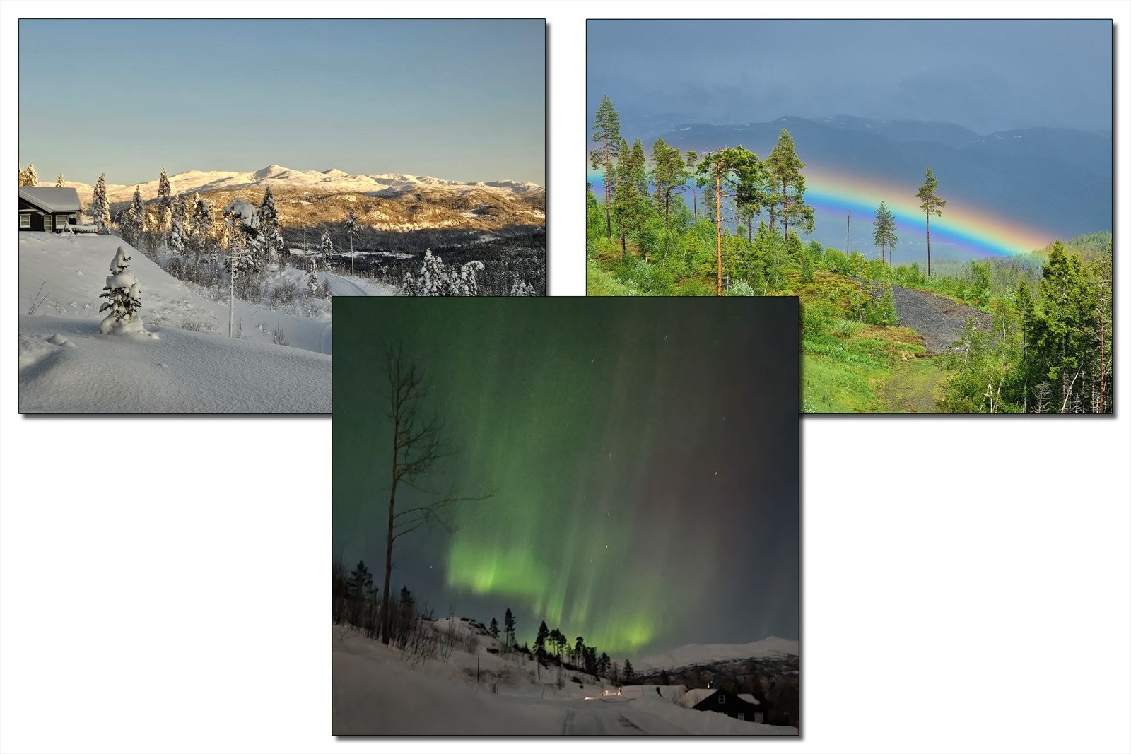 Flotte bilder tatt fra området. Privat. Galleribilde