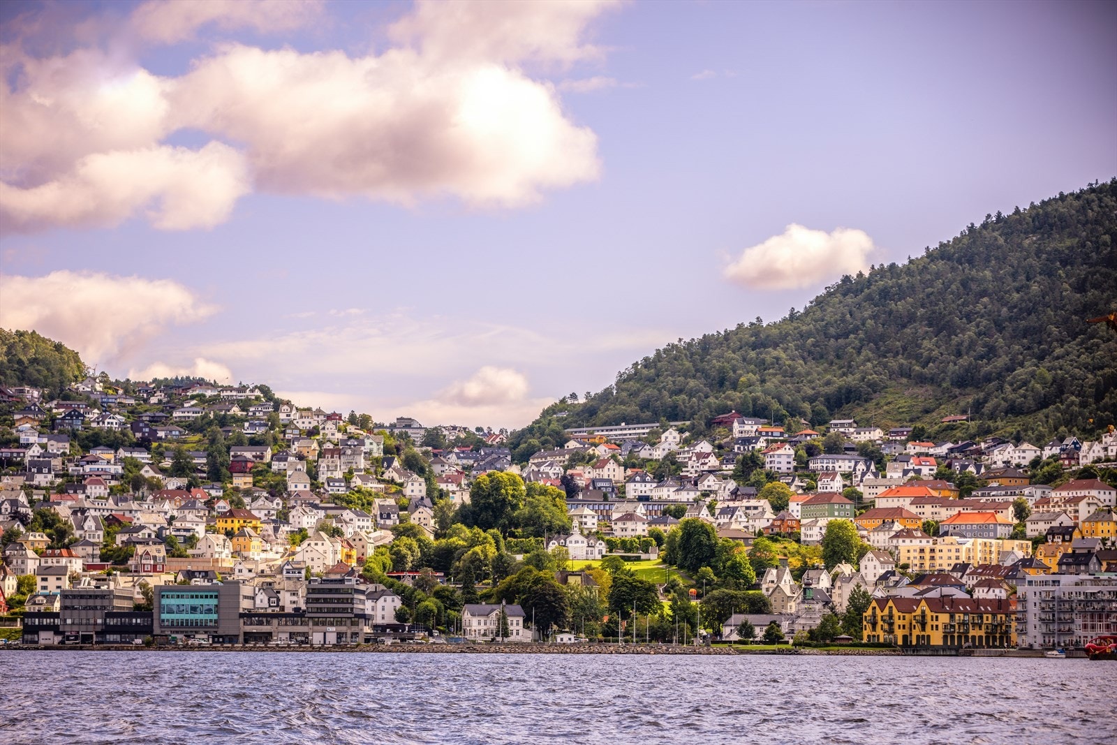 Velkommen til visning - Husk påmelding! Galleribilde