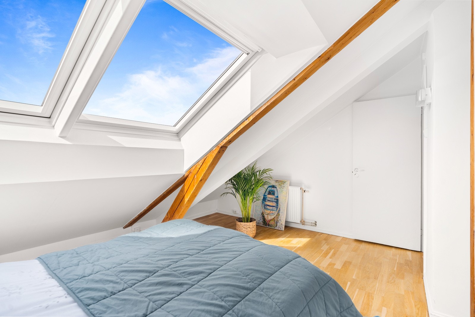 Velux takvinduer. Galleribilde
