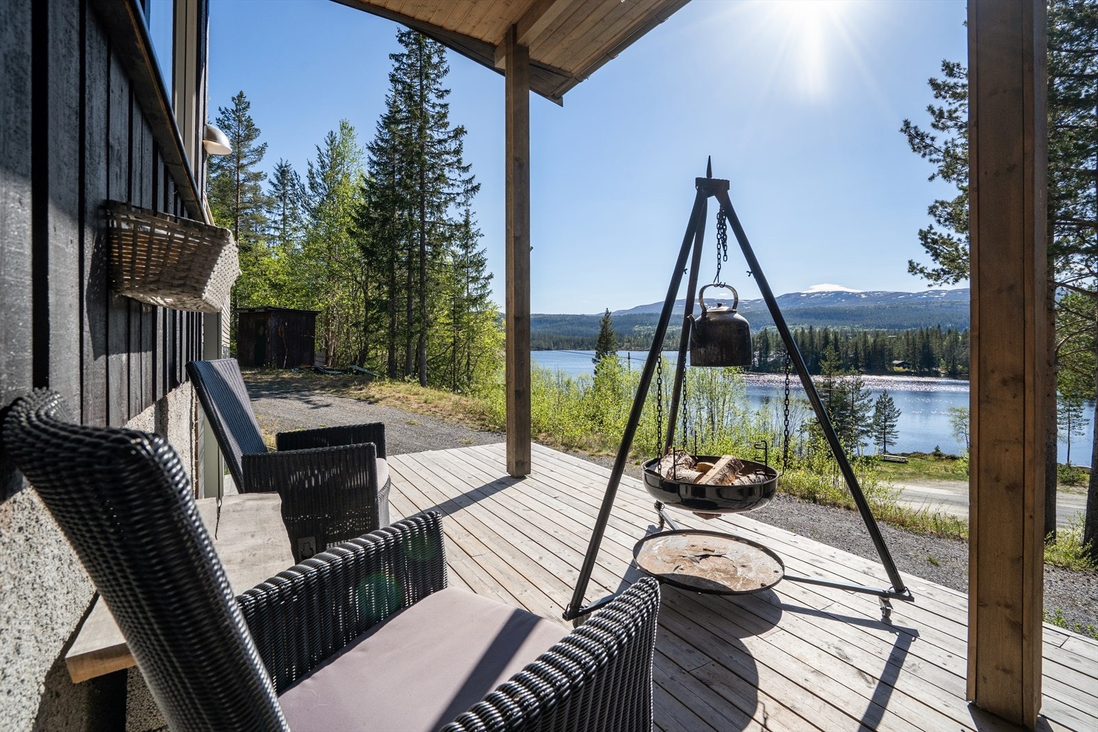 Her finner du garantert roen! Galleribilde