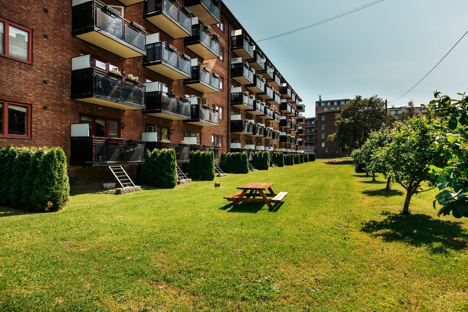Borettslaget har store, vakre fellesområder. Galleribilde