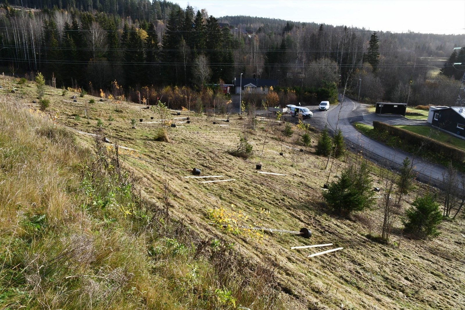 Dette område er under utvikling og det er igangsatt med beplanting av 60 nye busker og trær. Dette vil bidra til skjerming av eiendommen uten direkte utsyn til Green Mountain. (Bildet er lånt fra Enebakk Avis) Galleribilde