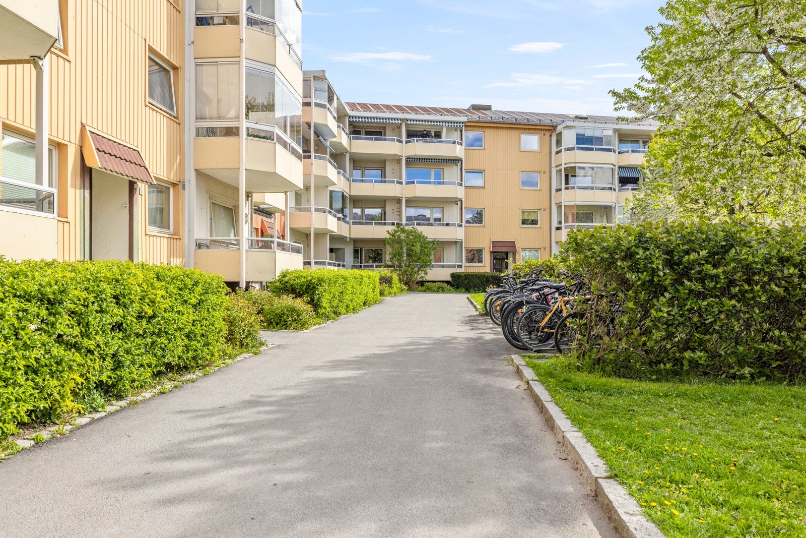 Asfalert internveier Galleribilde