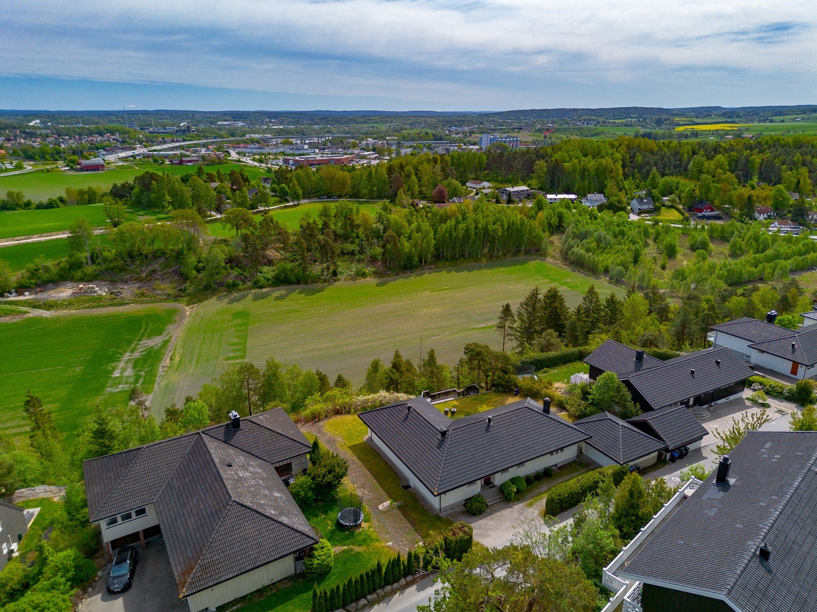 Utsiktstomt Galleribilde