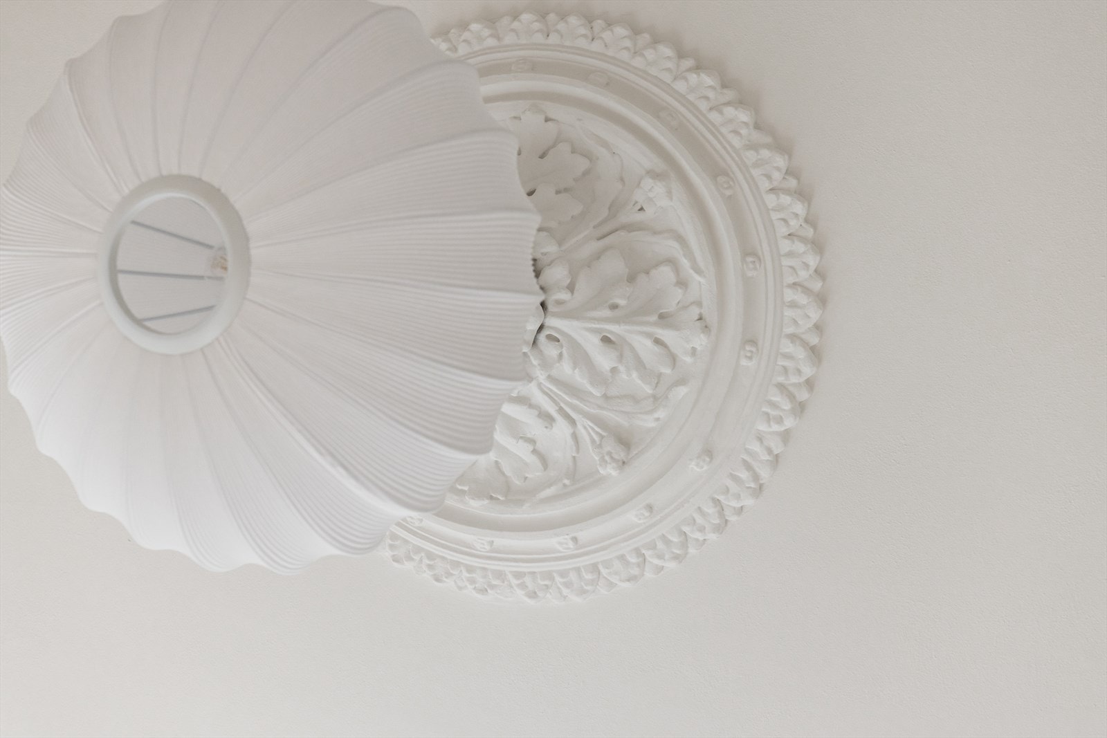 Detaljbilde. Galleribilde