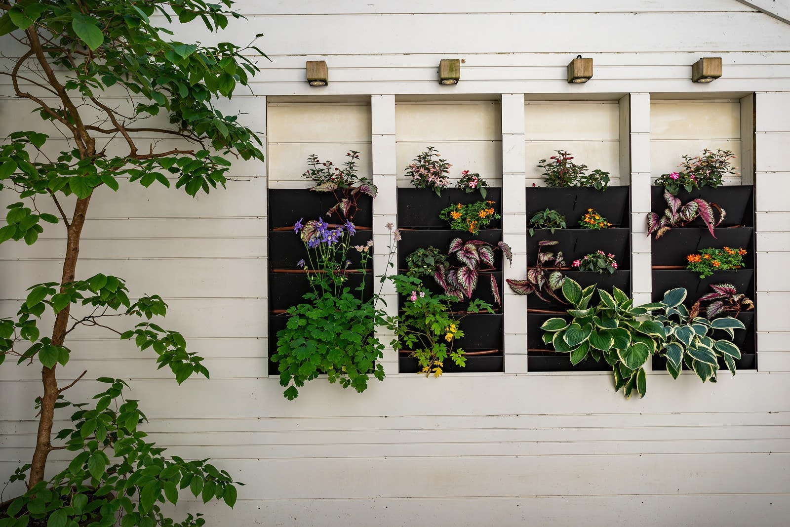 Samme som oppe, er det frodige vertikalhager med selvvanning Galleribilde