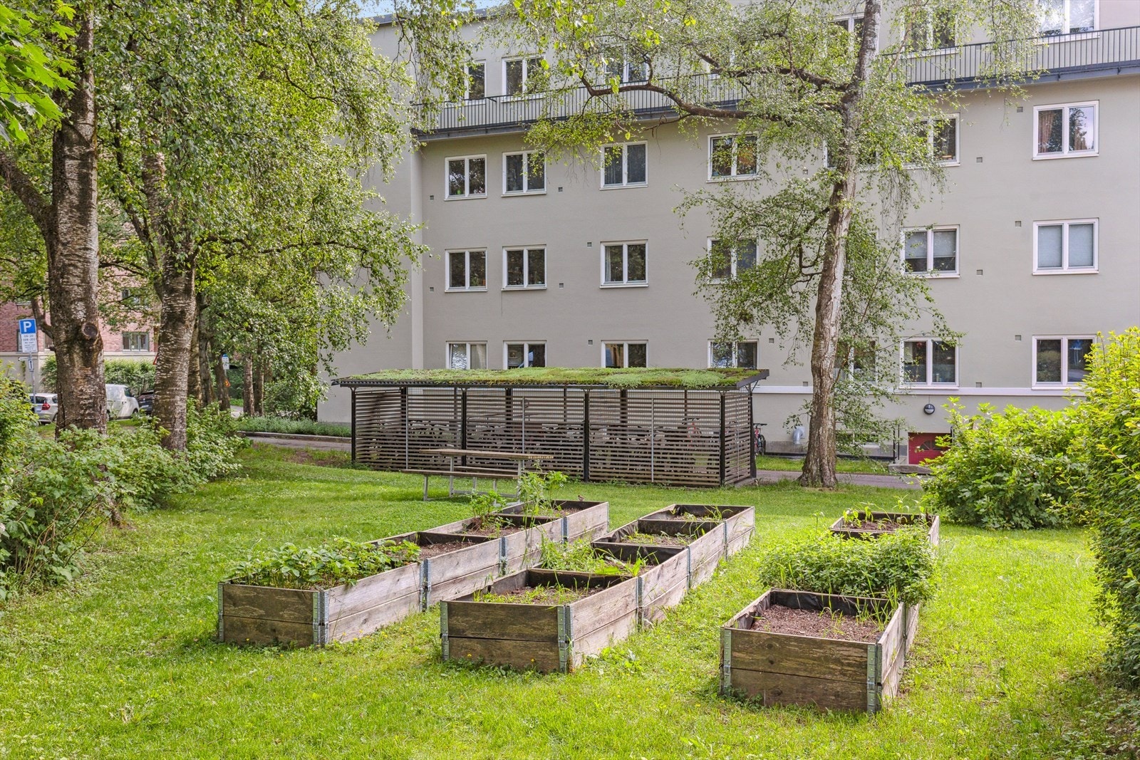 Sameiet har felles plantekasser på tomten, til glede for beboerne som ønsker seg en liten "grønnsakshage" Galleribilde