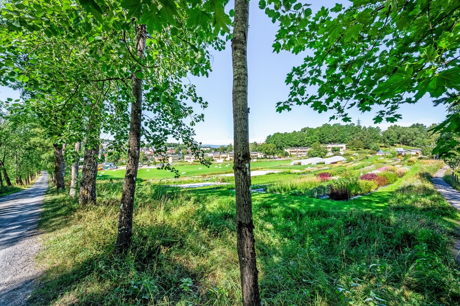 Kort vei til Østensjøvannet og Østmarka med flotte turstier. Galleribilde