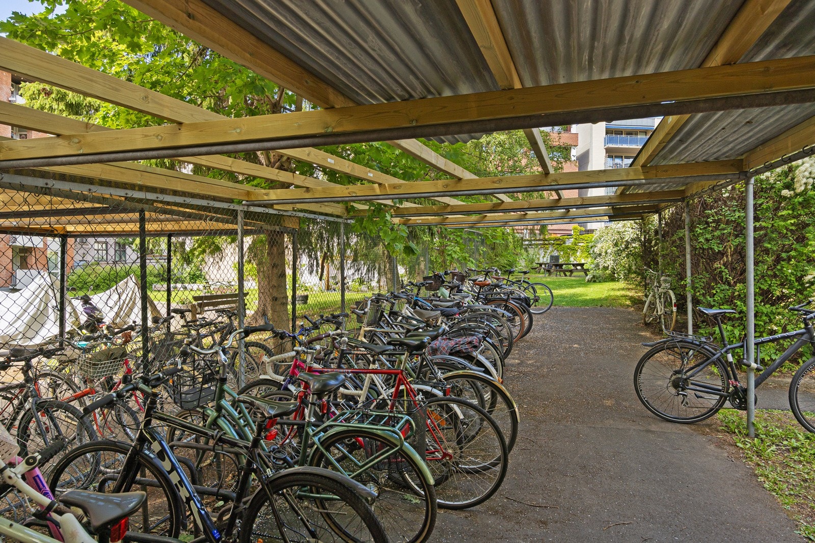 - Felles sykkelparkering i gårdsrommet - Galleribilde