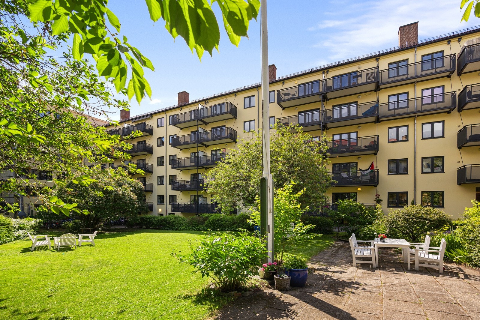 - Nydelig felles hage med plen, planter, busker og trær - Galleribilde