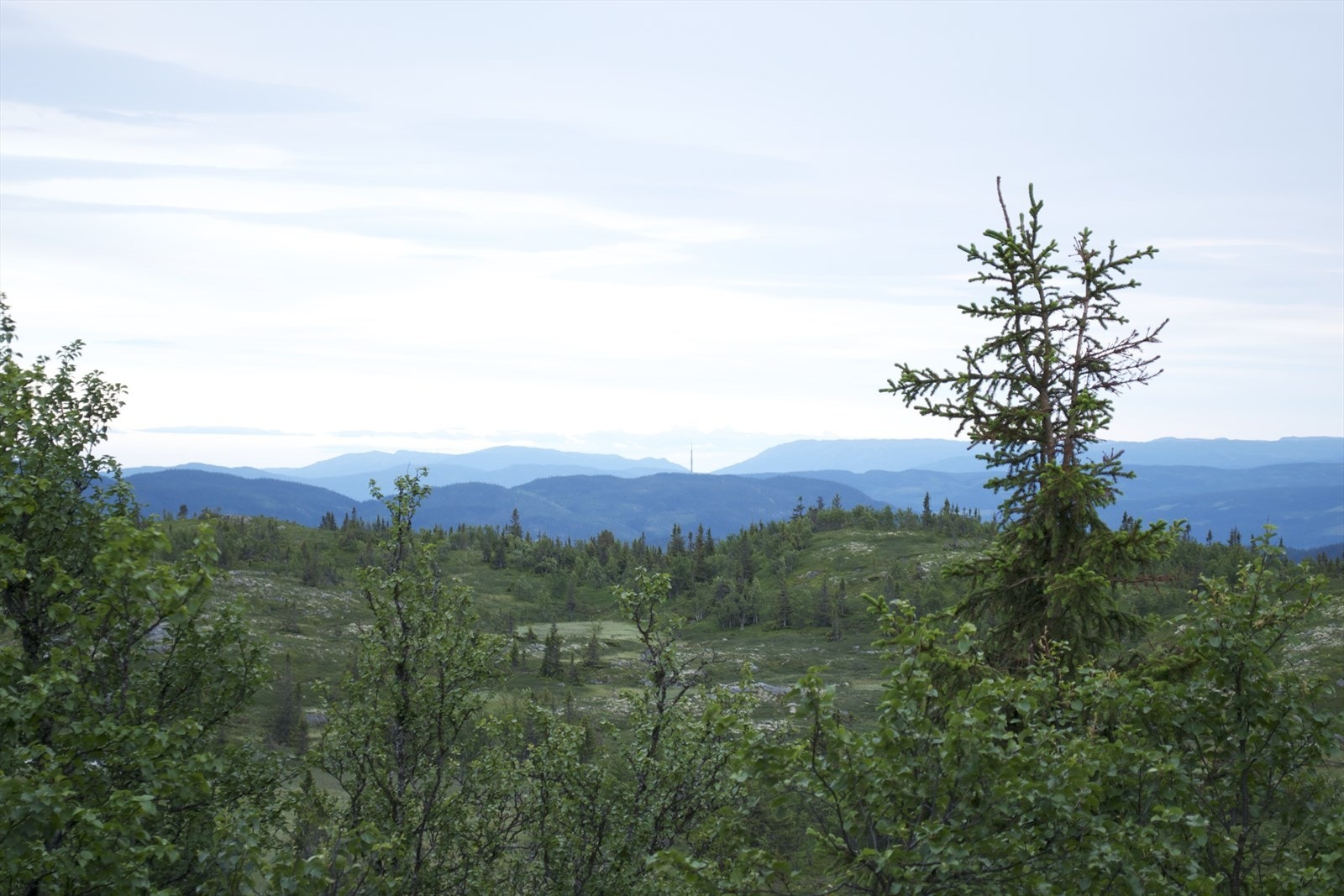 Selgers egne bilder Galleribilde