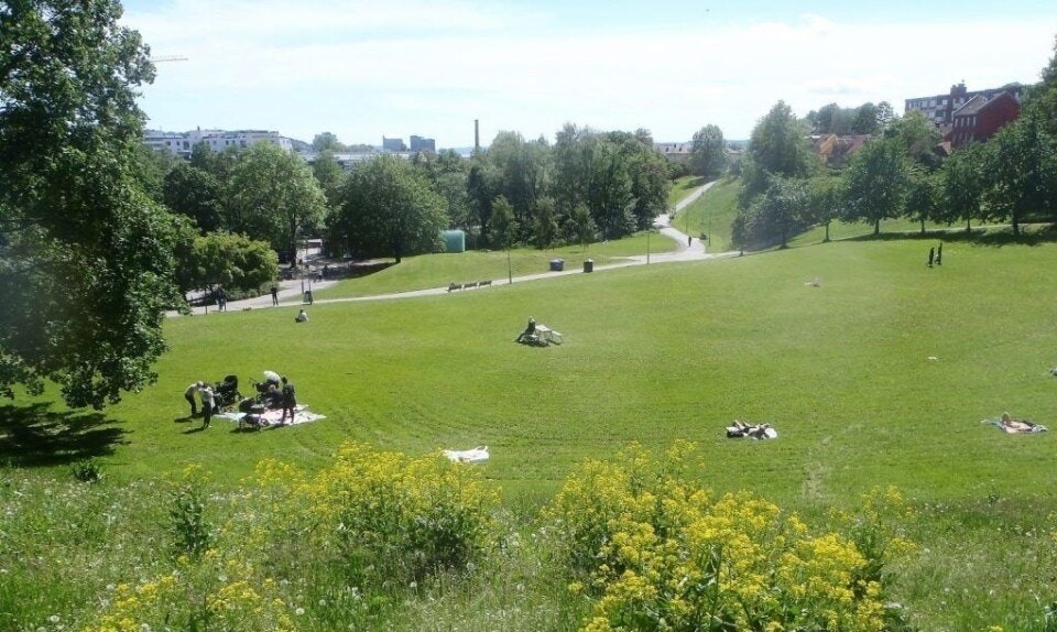 Myraløkka Galleribilde