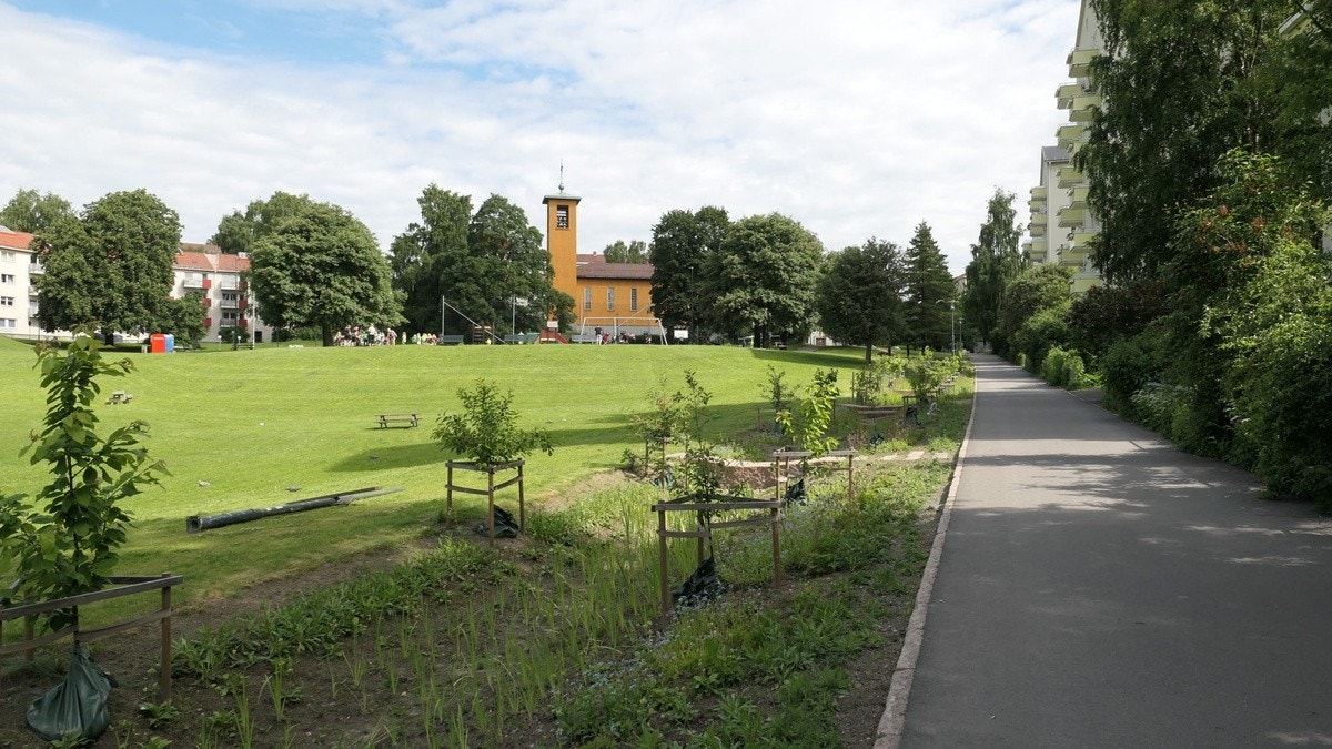Iladalen park Galleribilde