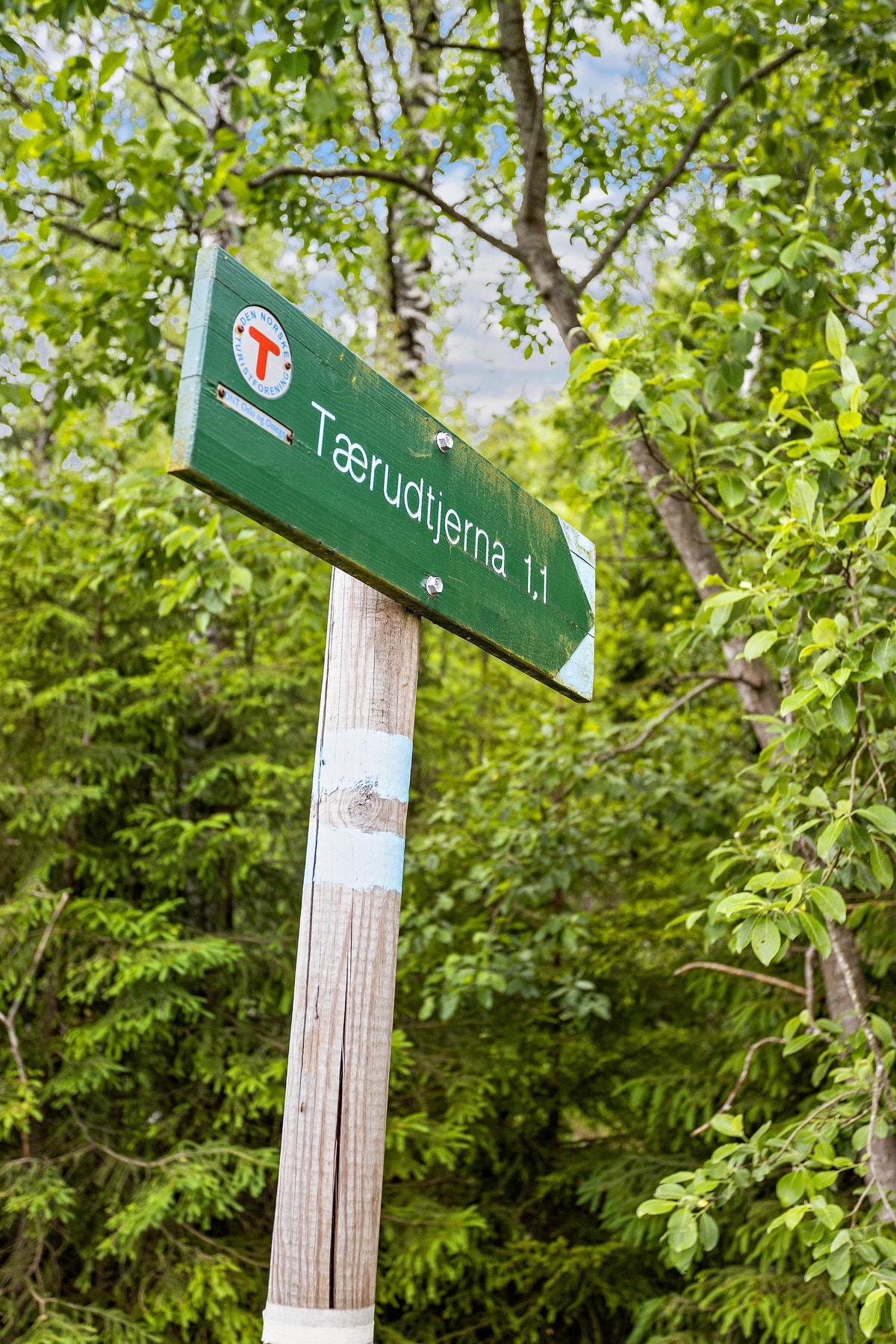 Kort vei til marka og med flere badeplasser. Galleribilde