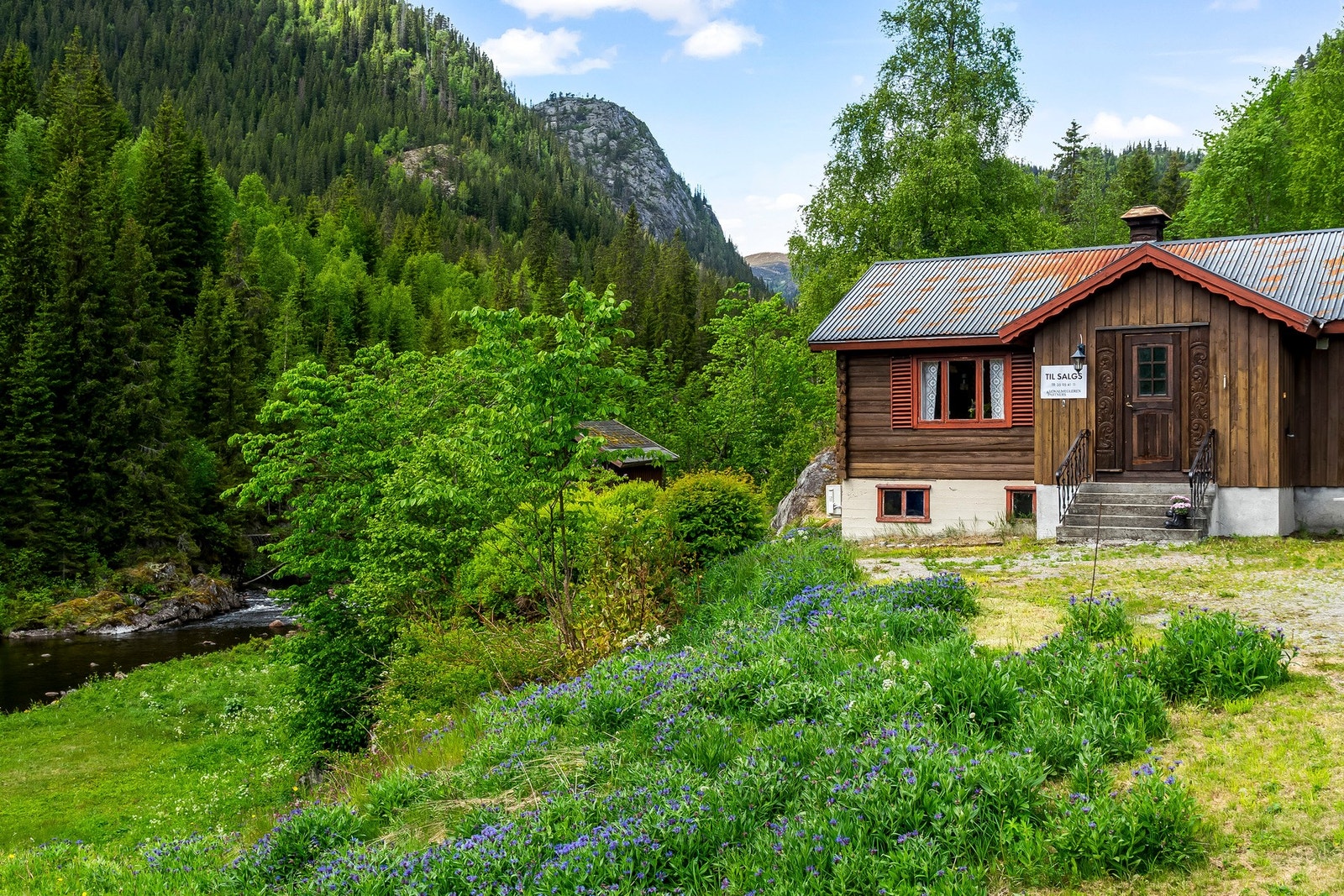 Rolig og usjenert beliggenhet ved elva Galleribilde