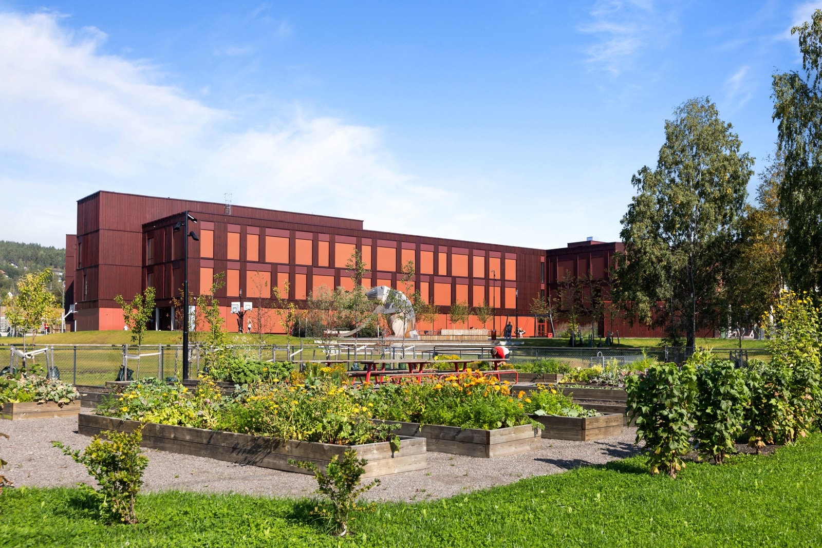 Nye Fjellhamar barneskole sto ferdig i 2023. Skolen har en stor skolegård på ca. 23.000 kvm med blant annet områder til ballspill, klatrestativer, hinderløype og akebakke. Galleribilde