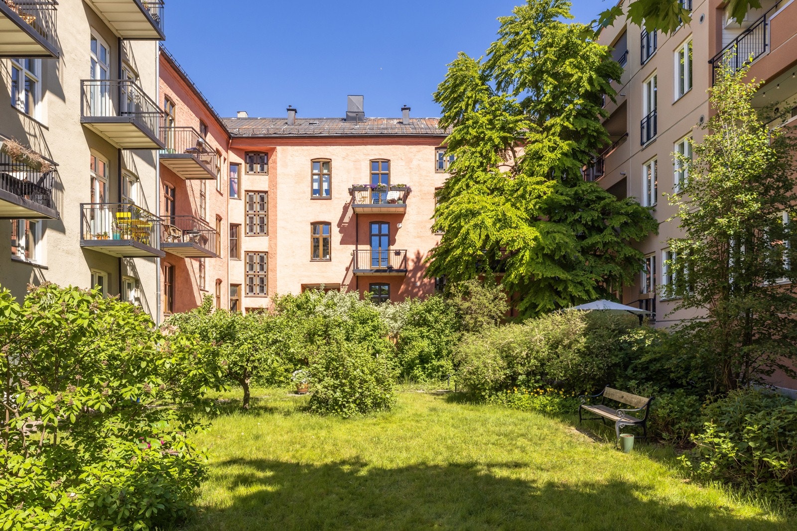Frodig bakgård med gresplen og variert beplantning. Galleribilde
