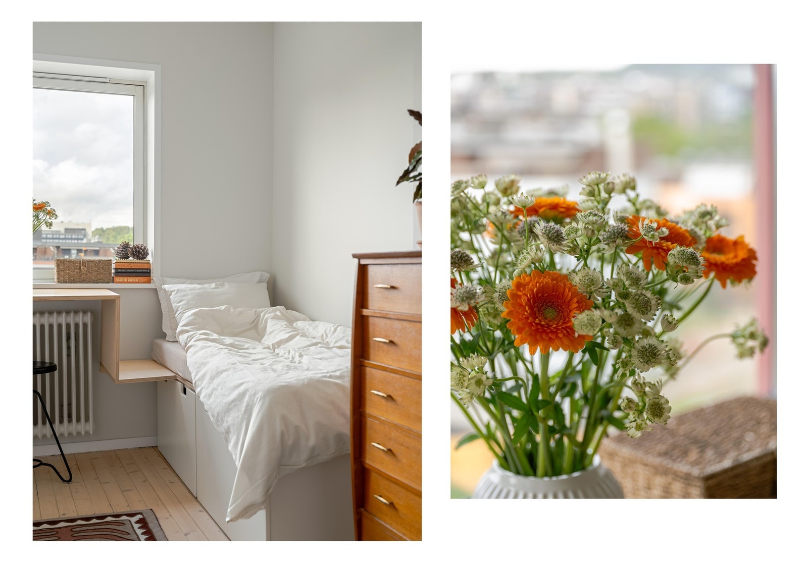 I serien "Blomster i fokus" kliner vi i dag til med denne sterke kandidaten. Galleribilde