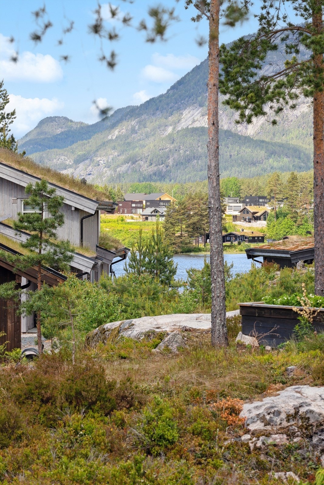 Du ser vannet fra hytta på flere sider. Galleribilde