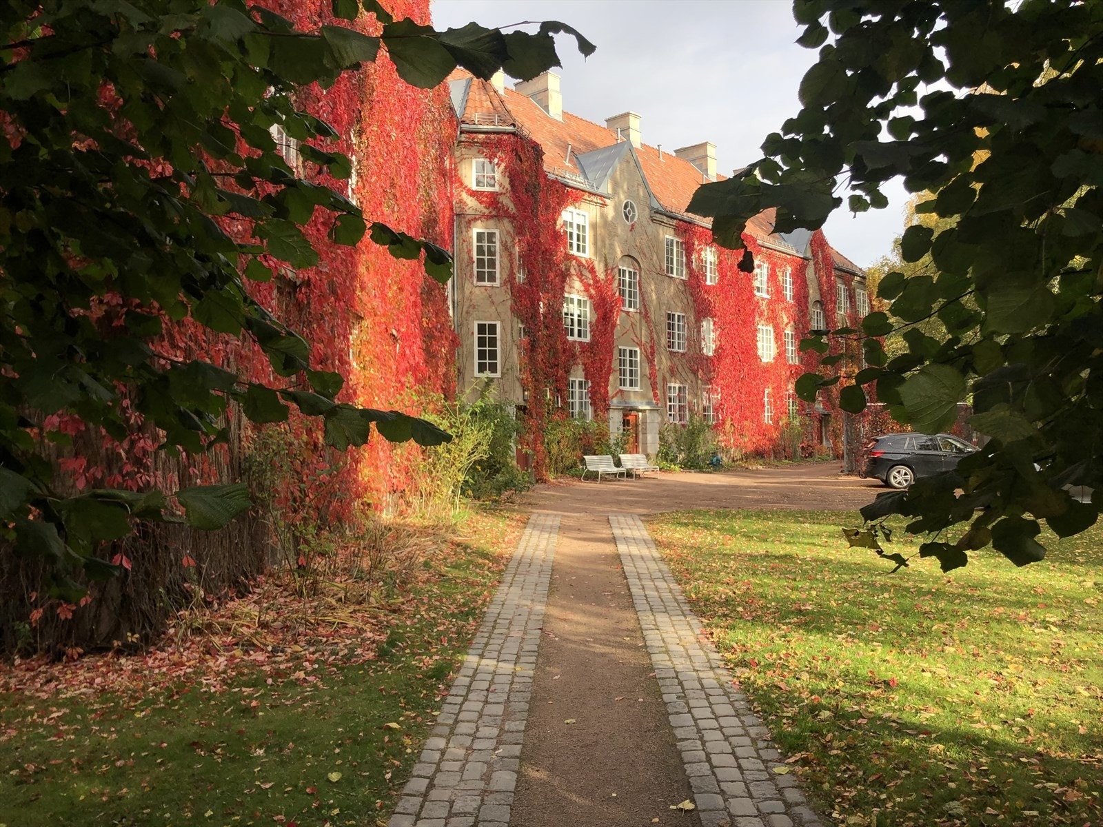 Høststemning i sameiet. Galleribilde