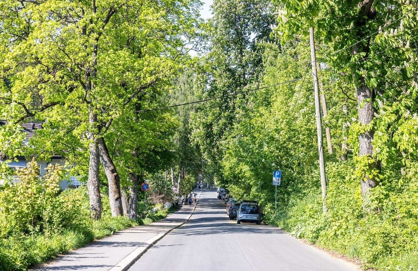 Hyggelig allé hjem til boligen. Galleribilde