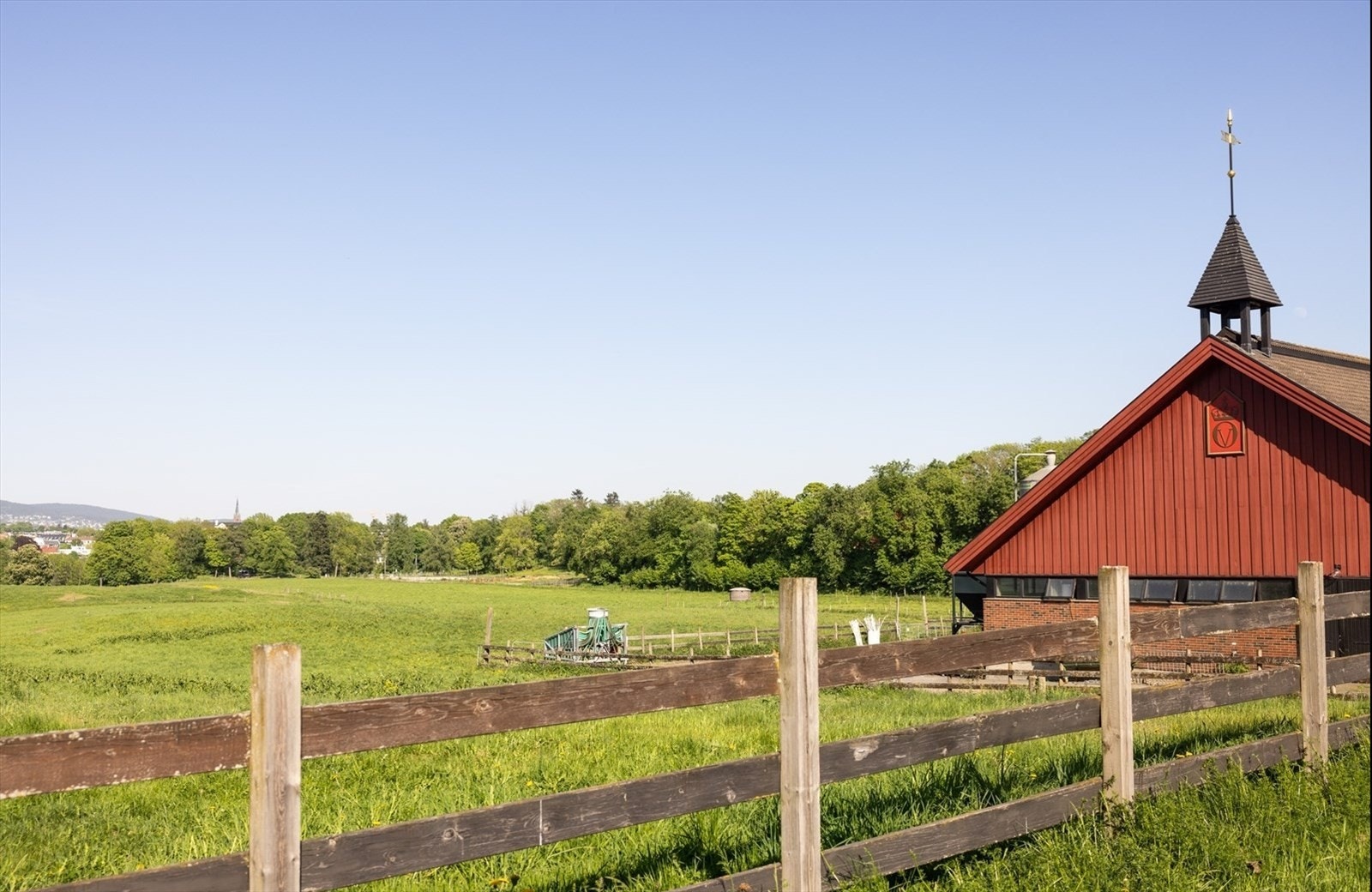 Kuslipp på Bygdøy Kongsgård er en meget populær aktivitet for barna. Galleribilde