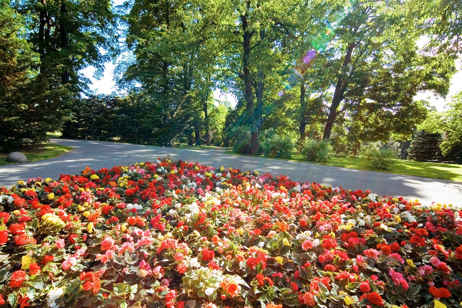 Ta en avslappende tur i Botanisk hage. Galleribilde
