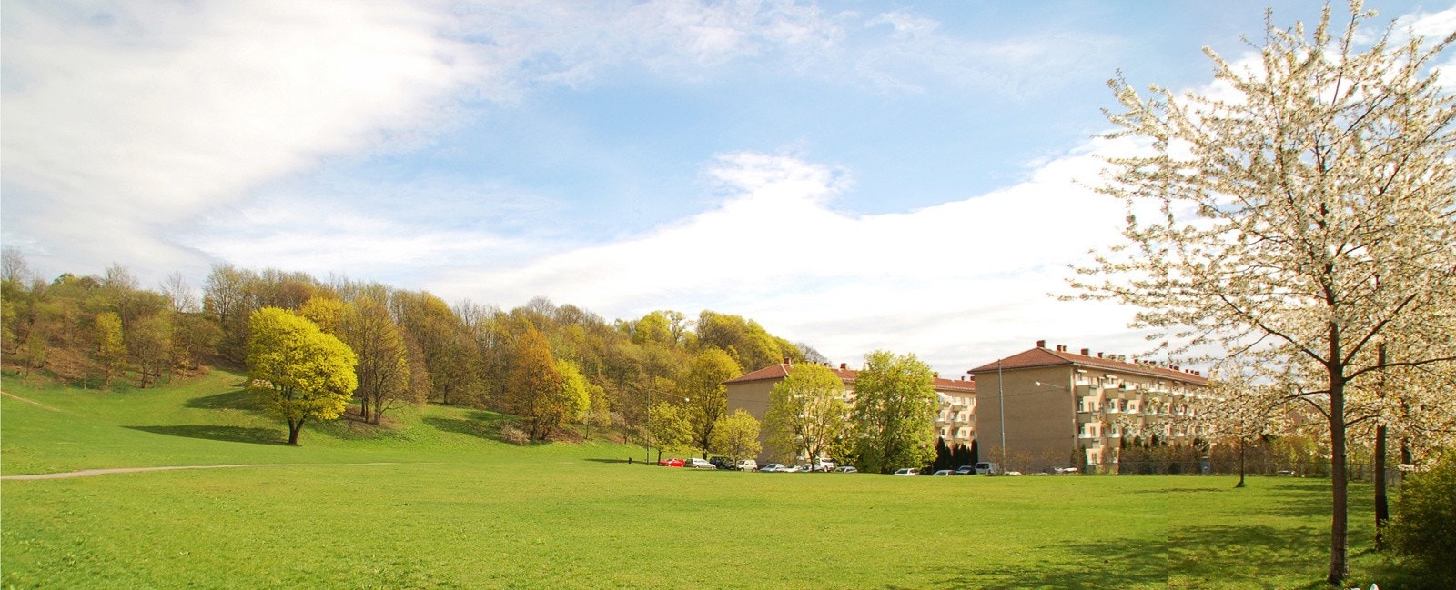 Ola Narr Galleribilde