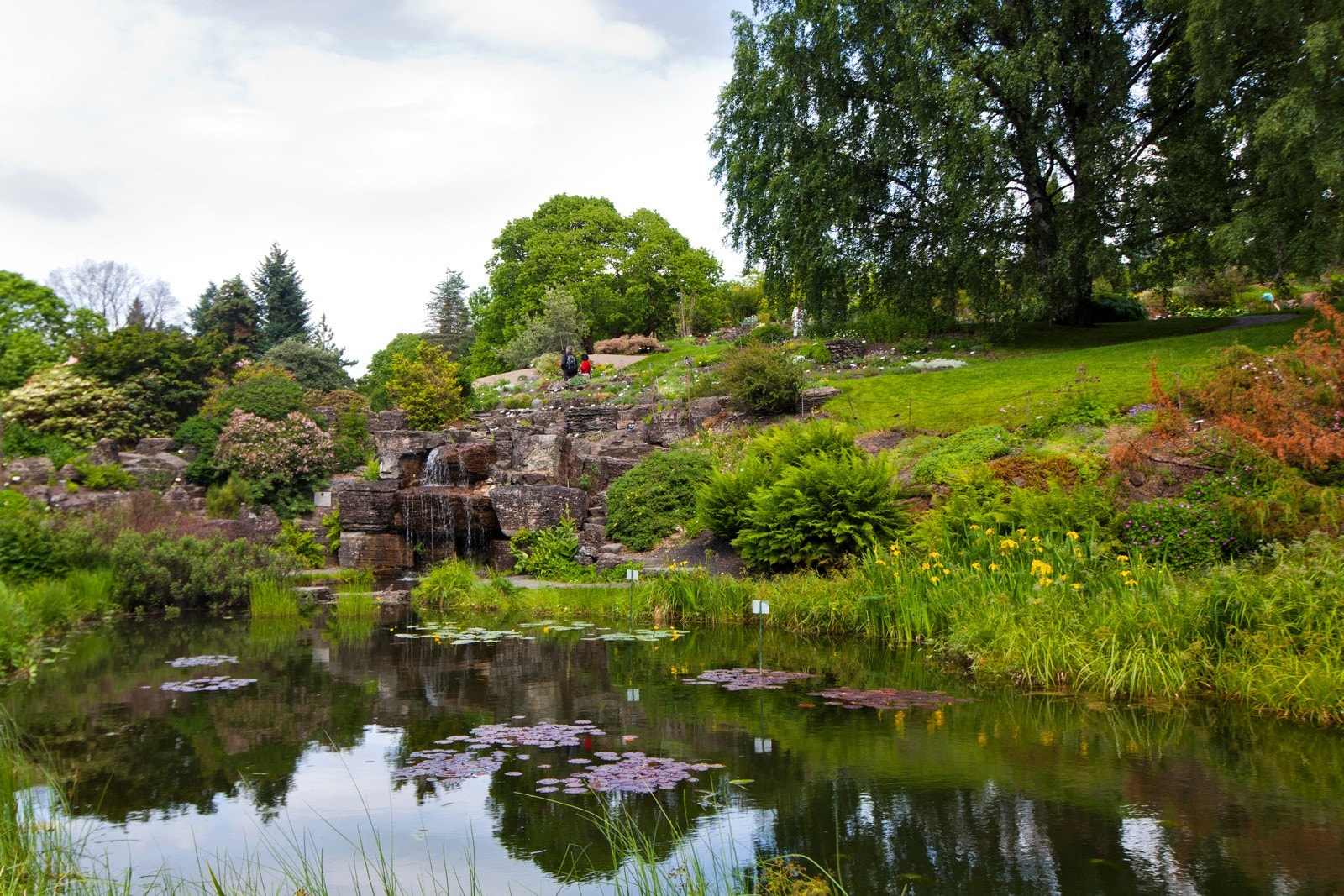 Område botanisk hage Galleribilde